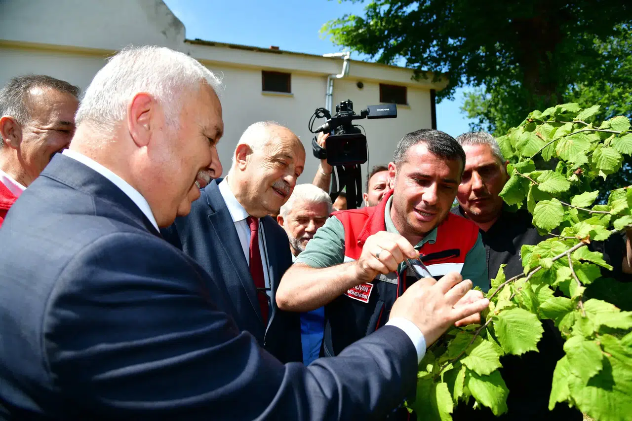 Trabzon'da samuray arılarıyla kahverengi kokarca mücadelesi başlatıldı