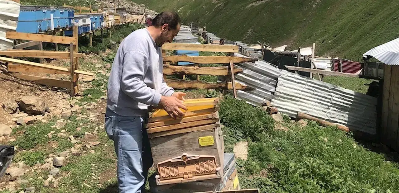 Başköy'de Talat Yılmaz: Doğayla Uyum İçinde Organik Bal Üretimi Yapıyor