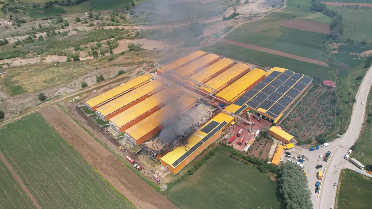 Yumurta üretim tesisinde yangın! Binlerce tavuk telef oldu, 1 kişi hastaneye kaldırıldı.