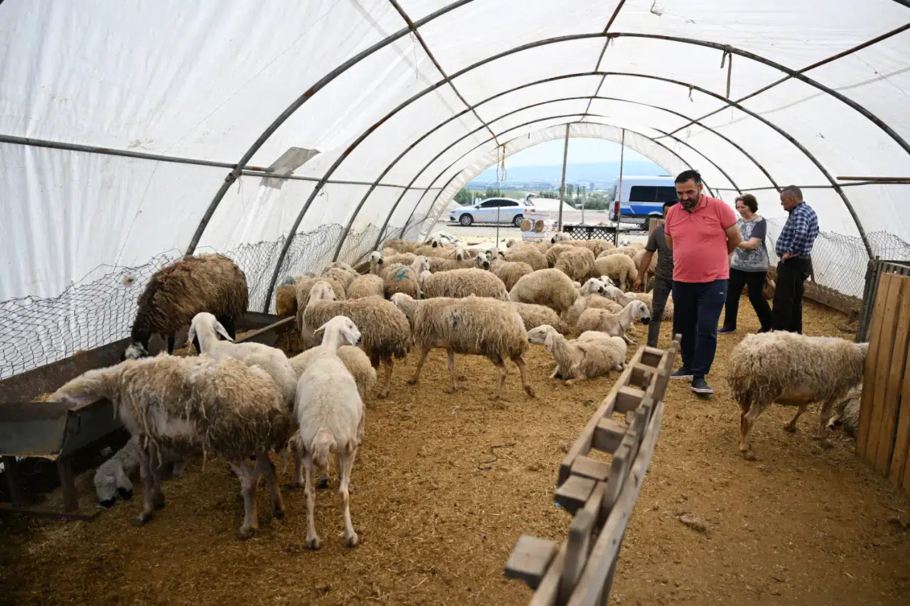 Kurban Bayramı'nda satış yapamayan üreticilere ESK'dan alım desteği!