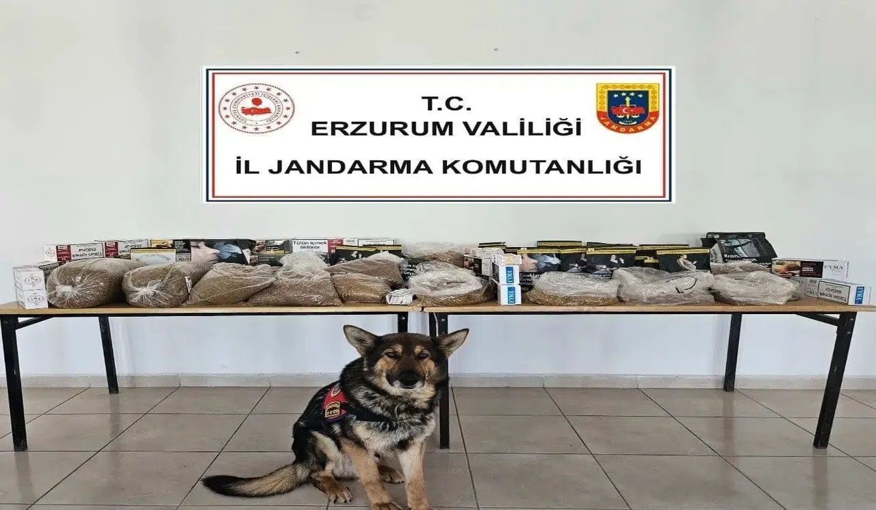 Erzurum'da Kaçakçılığa Darbe: 30 kg Tütün ve 12 Şüpheli Yakalandı