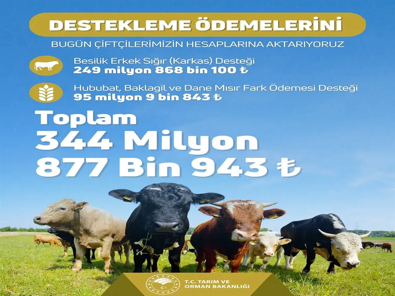 Tarımsal Destek Ödemeleri Hesaplara Yatırılmaya Başlandı!