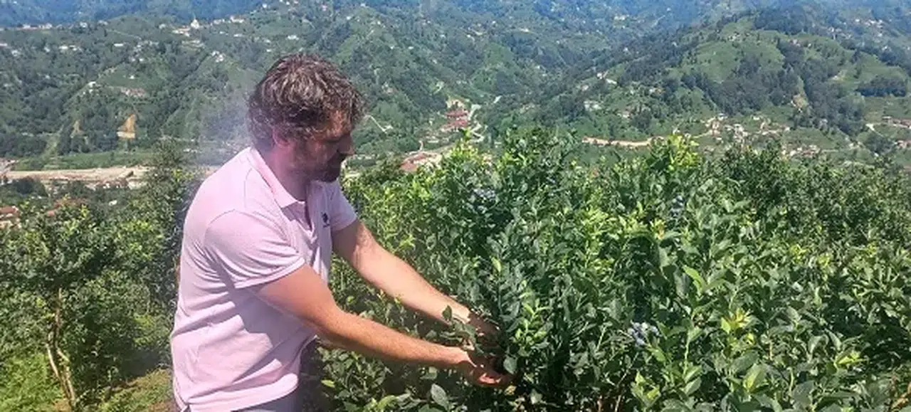 Köyüne dönen peyzaj mimarı, likapa yetiştiriciliğiyle Rize'de tarıma yöneldi