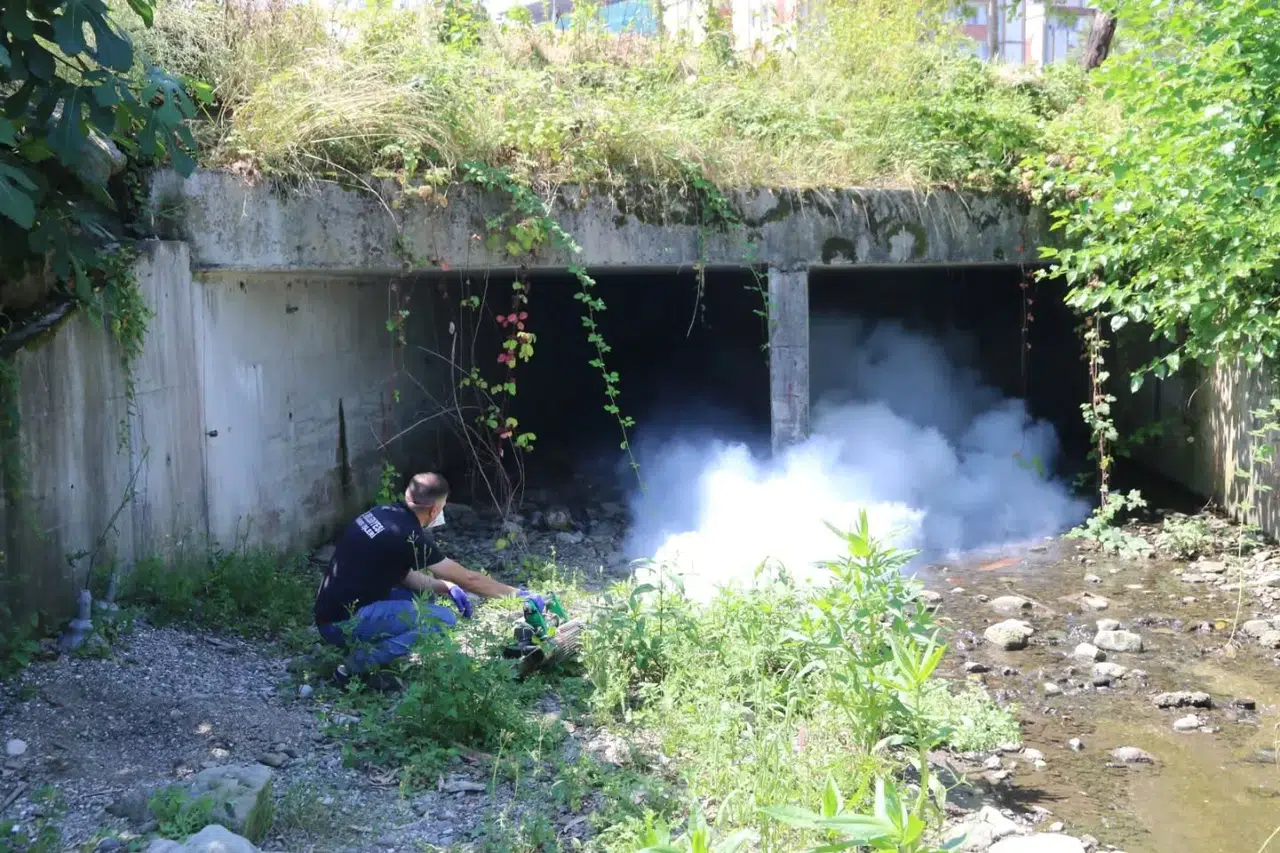 Rize'de Haşere ile Mücadele İçin İlaçlama Çalışmaları Devam Ediyor
