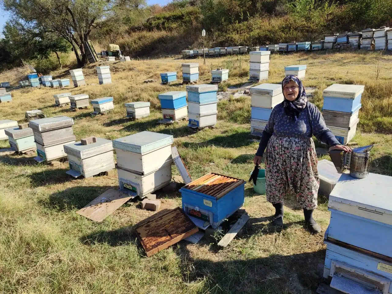 Edirne'de Arı Kovanlarına Denetim Yapıldı, Arıcılar Bilgilendirildi