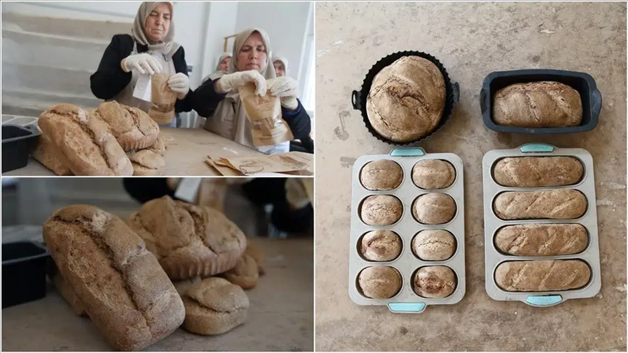 "Kadın Kooperatifi Tarafından Türk Mutfağına Yenilik: Hitit Ekmeği"