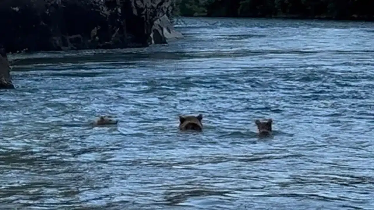 Batman'da gençler dolandırıcılığa kurban gidiyor, hesap kullandırma dosyaları 20 bine ulaştı