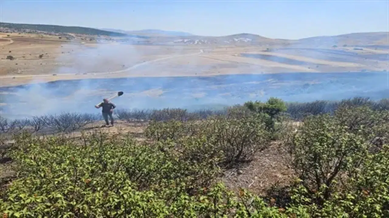 Afyonkarahisar'da çıkan iki yangın ekiplerin müdahalesiyle hızlıca söndürüldü