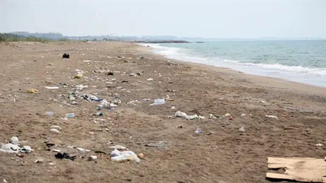 Antalya'nın Kumköy Sahili, caretta yuvaları arasında çöplüğe döndü!