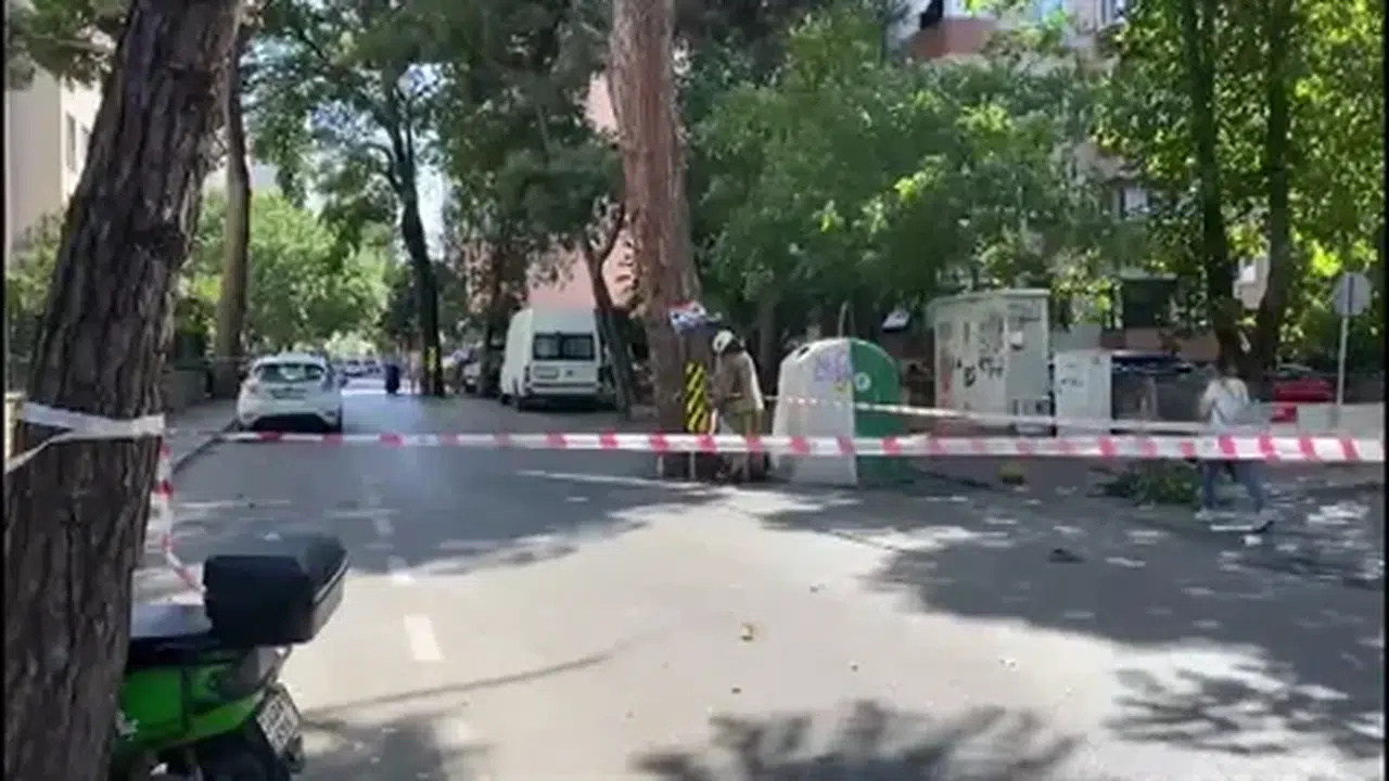 Kadıköy'de rüzgarın kopardığı dal tehlike yarattı, itfaiye ekipleri müdahale etti