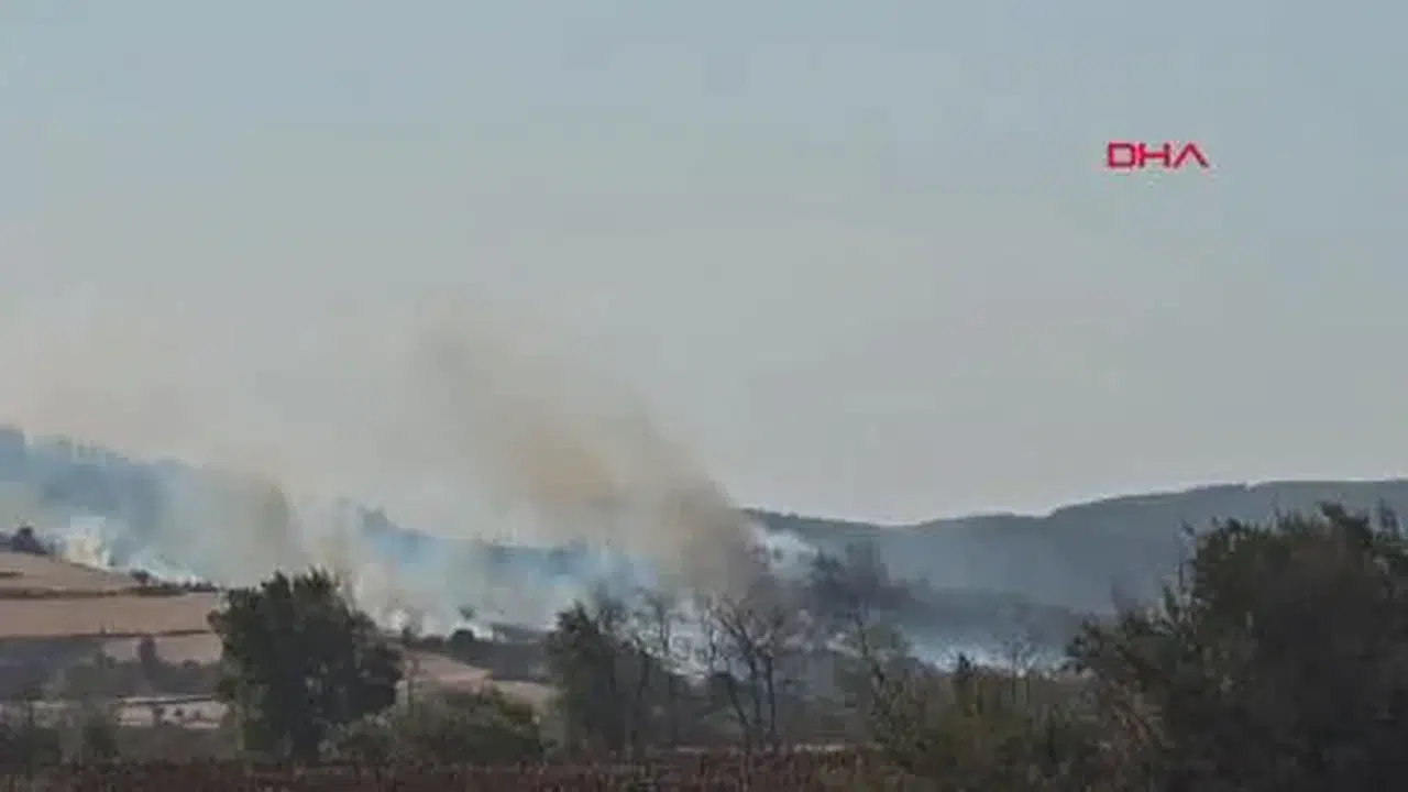 Gelibolu'da Orman Yangınına Hızla Müdahale Ediliyor