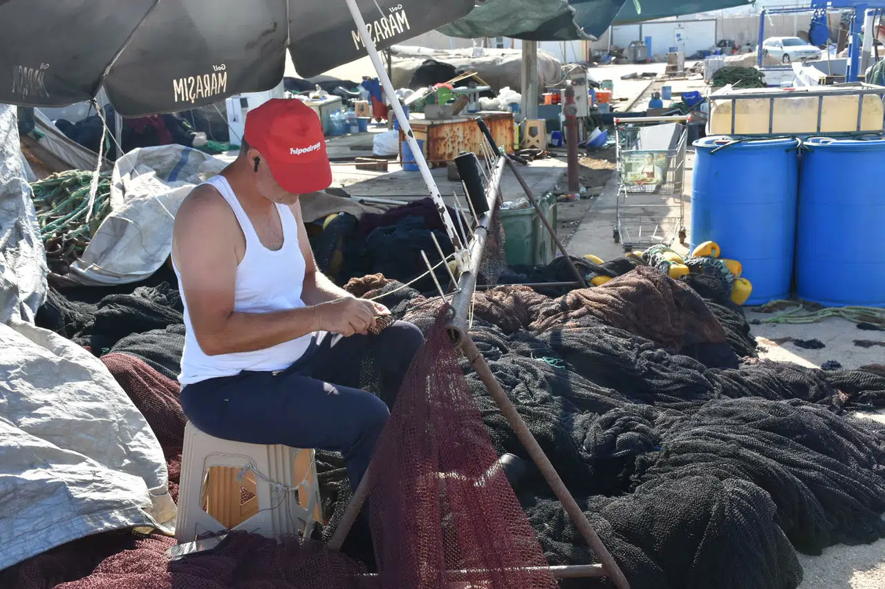 İzmir Balıkçıları, 1 Eylül av sezonu öncesi hazırlık yapıyor; bol hamsi ve sardalya müjdesi!