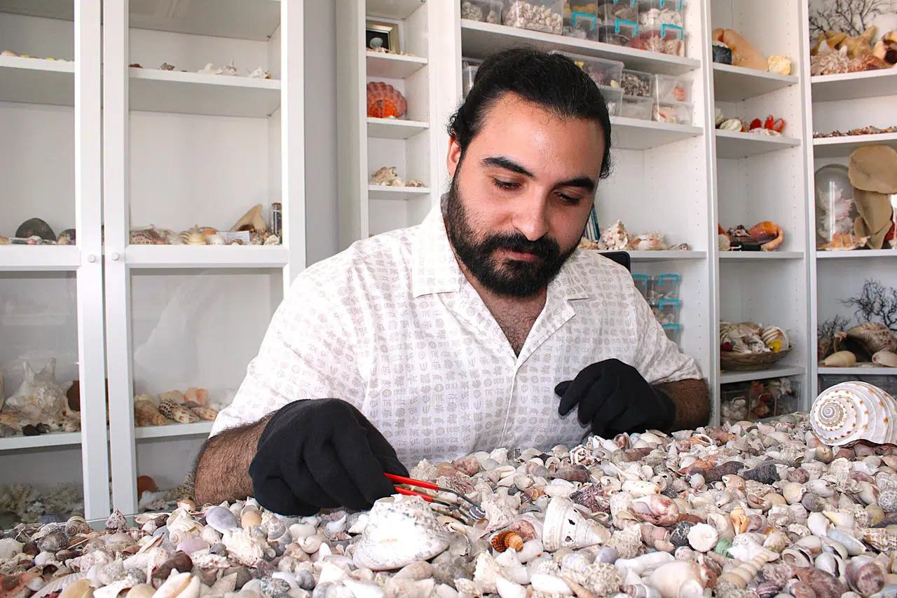 10 Milyon Deniz Kabuğu ile Eşsiz Bir Koleksiyona İmza Attı!