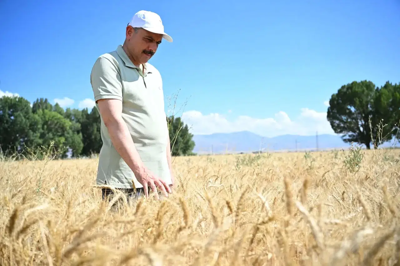 Erzurum'da Öğrenciler İlk Hasatlarını Gerçekleştirdi, Tarım Eğitimi Pratikle Gelişti