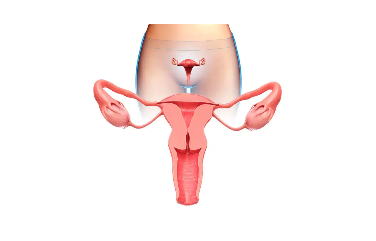 Vajina Genişlemesi Neden Olur?