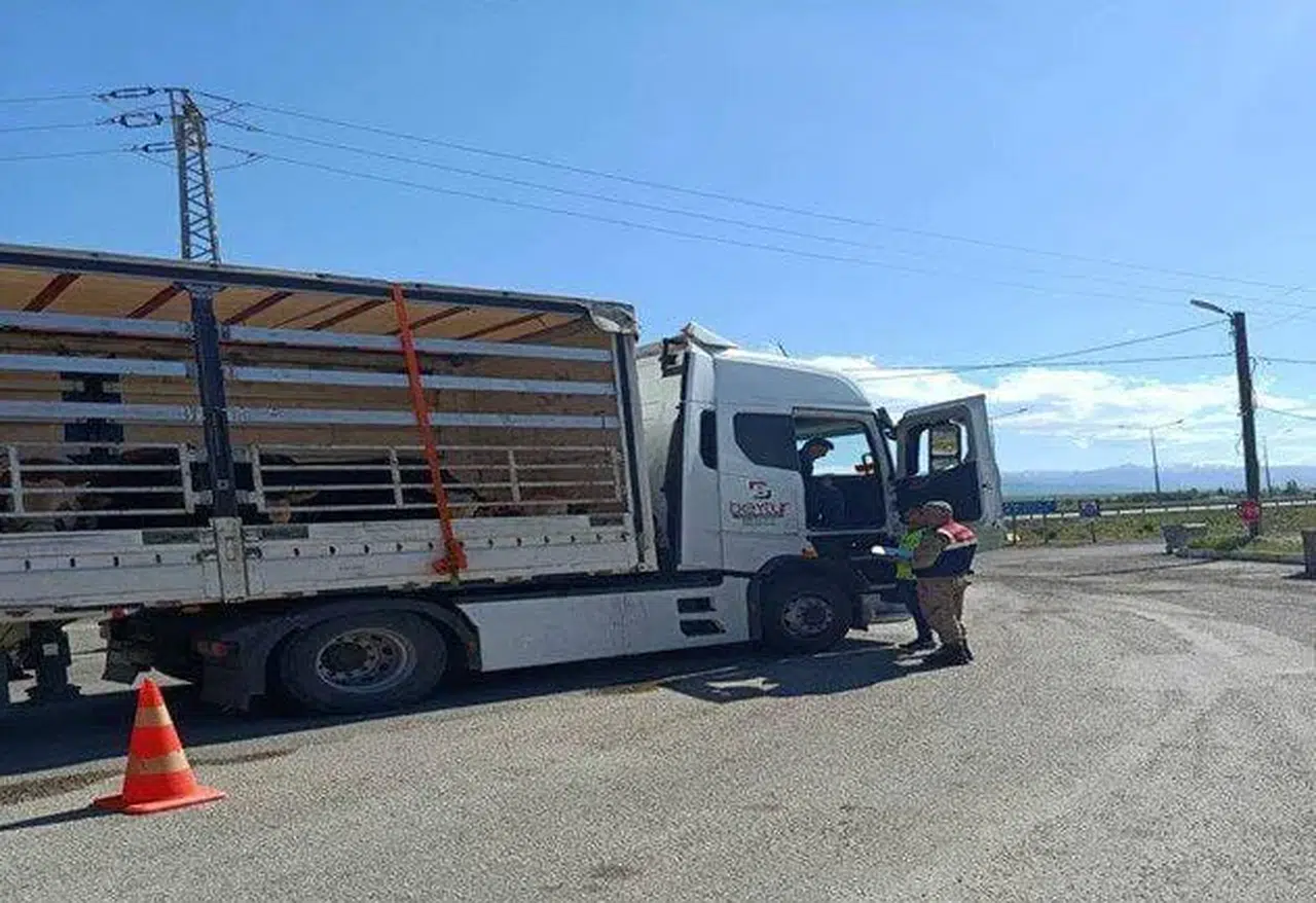 Erzurum'da göçmen kaçakçılığına karşı sıkı denetimler ve operasyonlar sürüyor
