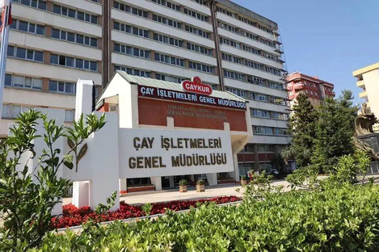 Çaykur, 2025 İkinci Sürgününde Rekor Yaş Çay Alımı Gerçekleştirdi