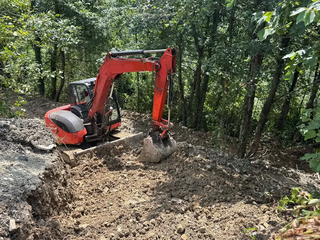 Hopa Belediyesi, Sokak Hayvanları Barınağı'nın Kapasitesini Artırma Çalışmalarına Başladı!