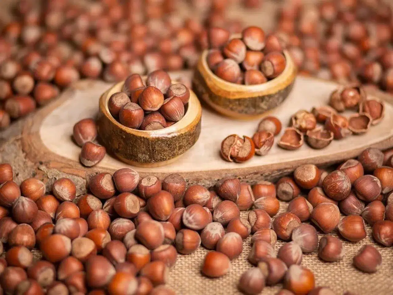 18 Ağustos 2025 Pazartesi Güncel Fındık Fiyatları