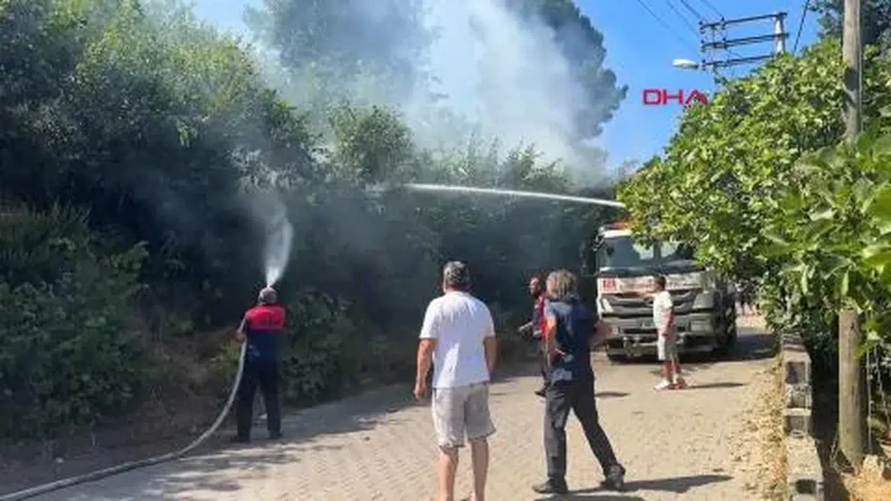 Zonguldak'ta ağaçlık alanda çıkan yangın itfaiye ekipleri tarafından kontrol altına alındı