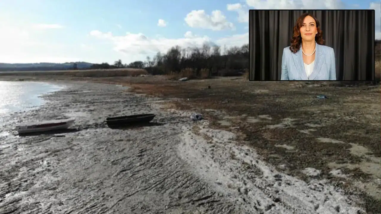 Kuzey Ormanları ve Terkos tehlike altında