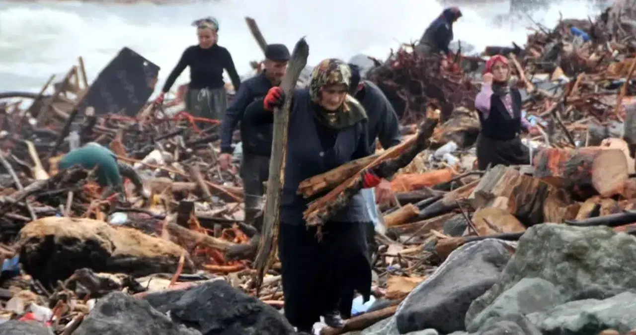 Ardeşen ve Çamlıhemşin’de Toplanan Odunlar Sobayı Tehlikeye Atıyor