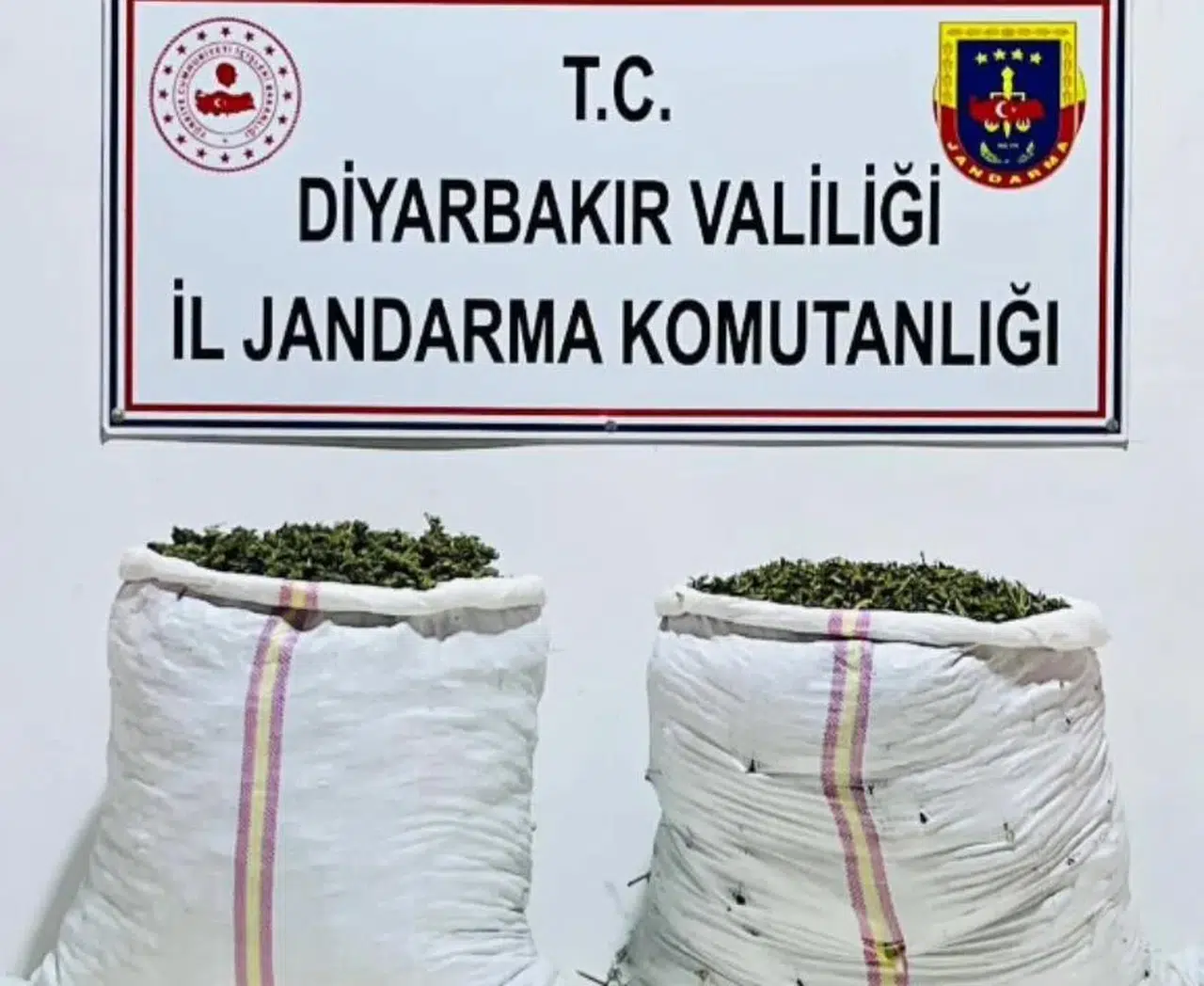 Bismil'de uyuşturucu operasyonu: 11 kilo skunk ele geçirildi, 2 tutuklama gerçekleşti