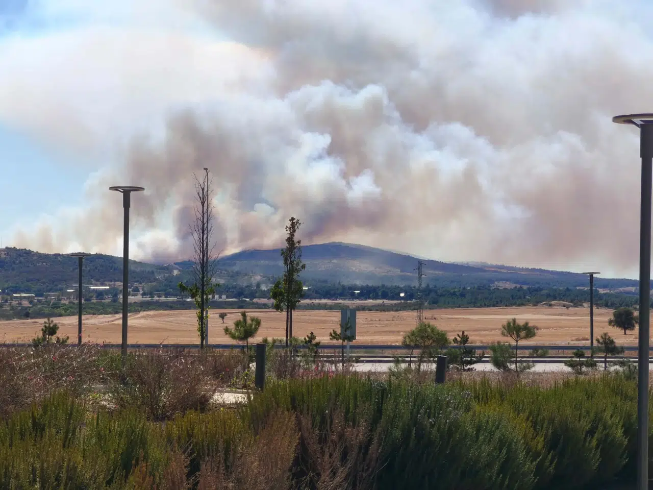 Gelibolu'daki tarım arazisinde başlayan yangın ormana sıçradı, müdahale devam ediyor