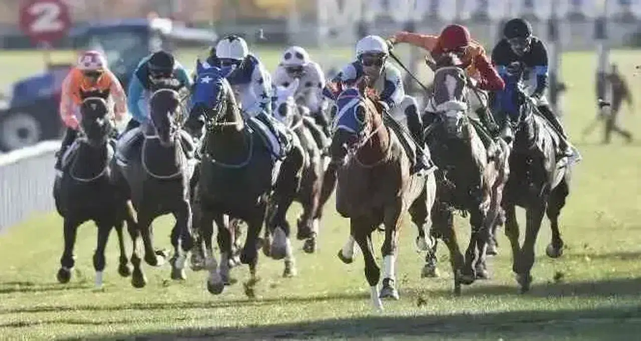 Ankara 13 Eylül 2025 Cumartesi Yarışı Sonuçları!