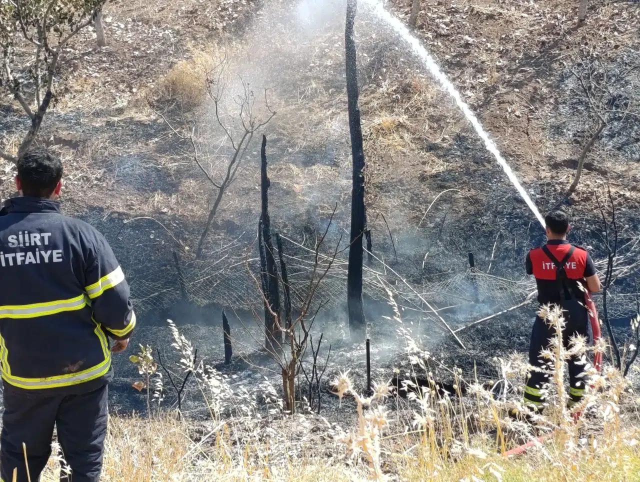 Siirt'te örtü yangını: 40 fıstık ağacı zarar gördü