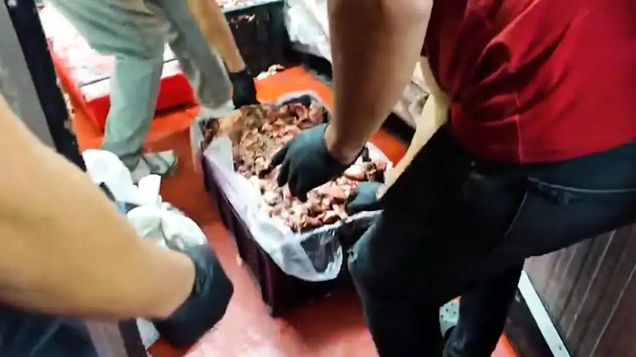 Ankara'da 11 ton gıda denetiminde uygunsuz ürünler imha edildi