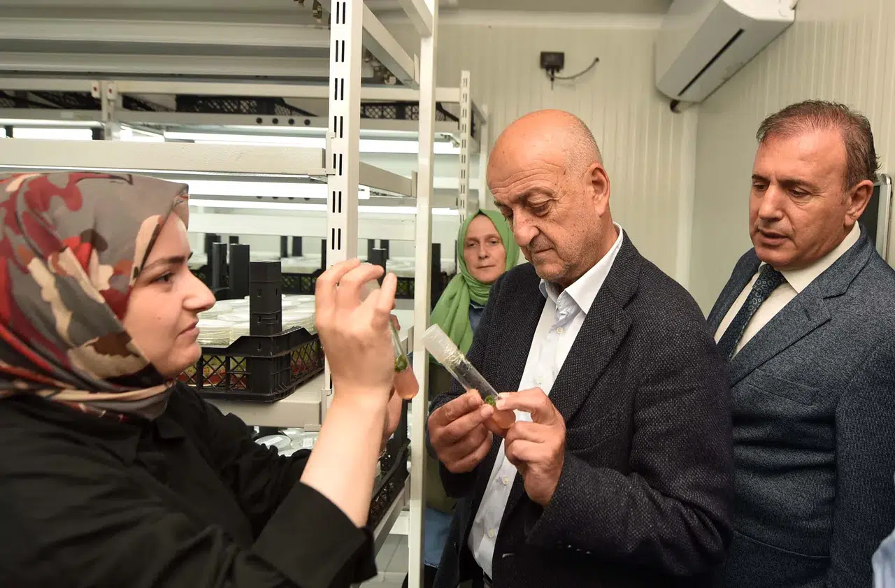 Doku Kültürü ile Trabzon'da 520 Bin Fidan Üretildi, Tarımda Yeni Dönem Başladı