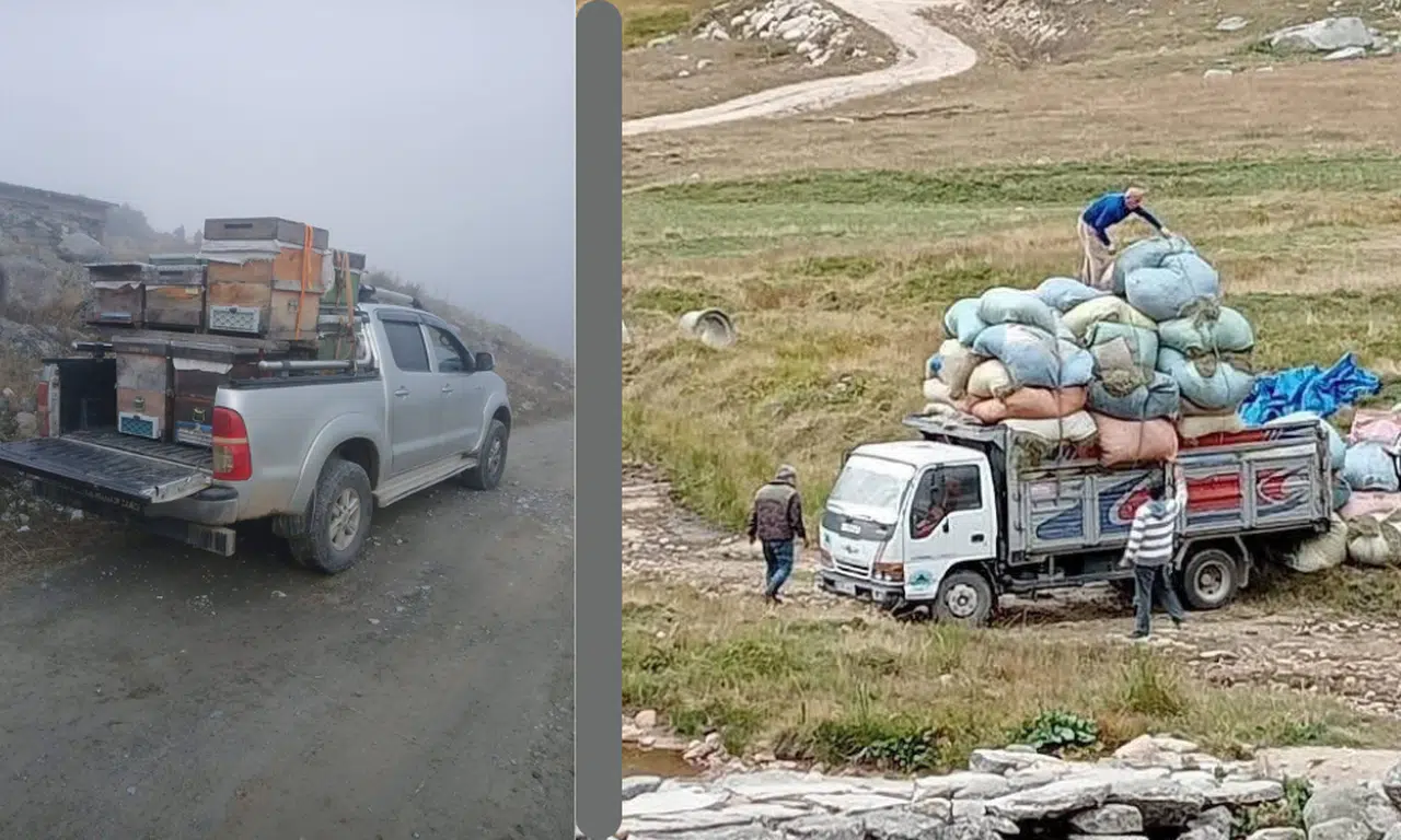 Rize Yaylalarında Sonbahar Dönüşü Başladı