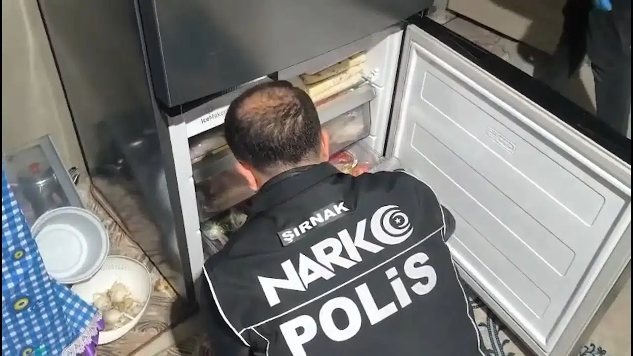 Şırnak'ta uyuşturucu operasyonu: 20,7 kg esrar ele geçirildi, 1 gözaltı