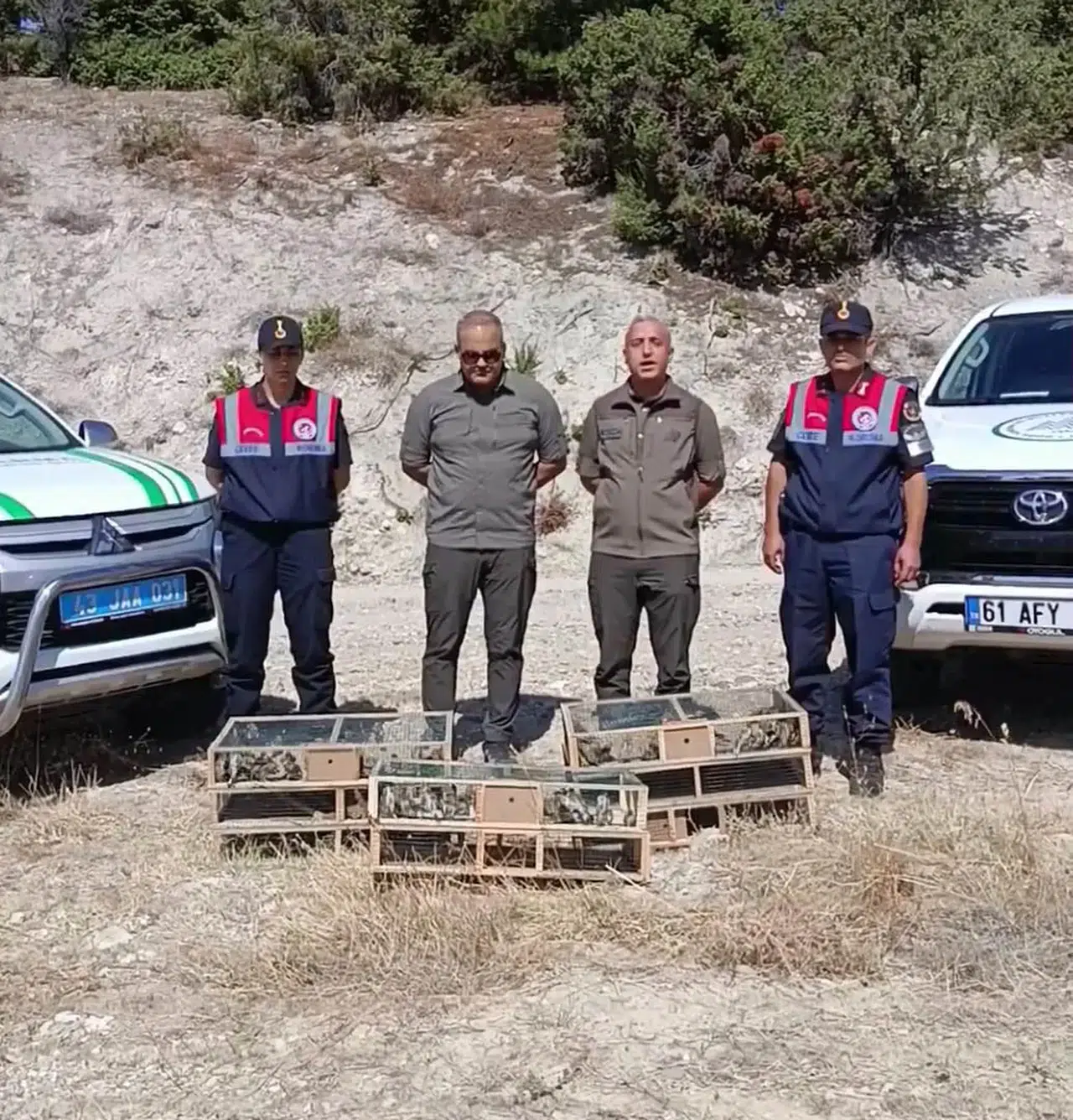 Kütahya'da 142 saka kuşu özgürlüğüne kavuştu, yaban hayatı koruma çalışmaları devam ediyor