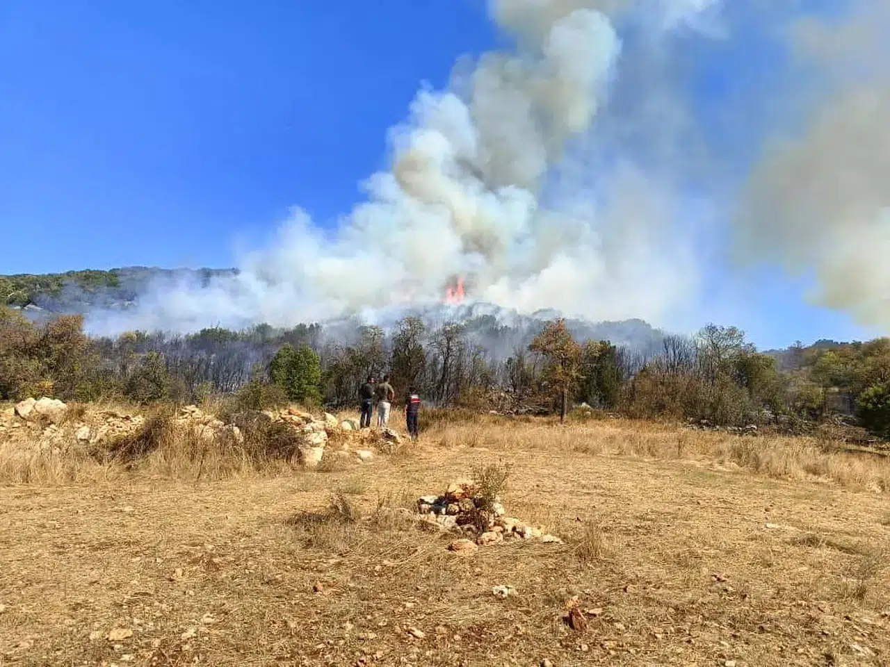 Ağlasun'da Orman Yangını: Ekipler Yangını Kontrol Altına Alma Çalışmalarına Başladı