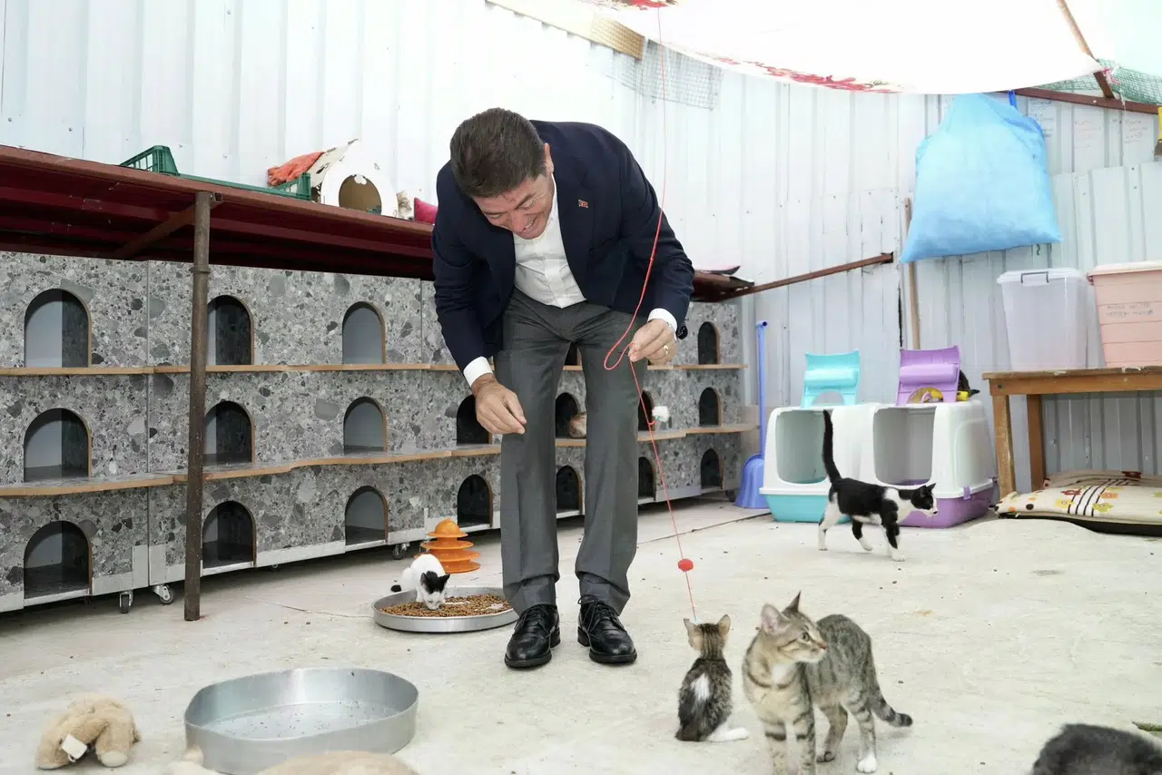 Başkan Kaya’dan ÇEVHAYKO Kedi Yuvası’na Ziyaret