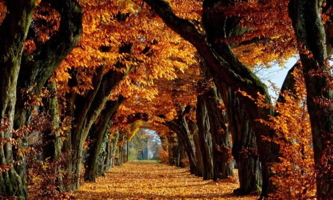 Eylül kaç çekiyor? Eylül ayı kaç gün 30 mu, 31 gün mü?