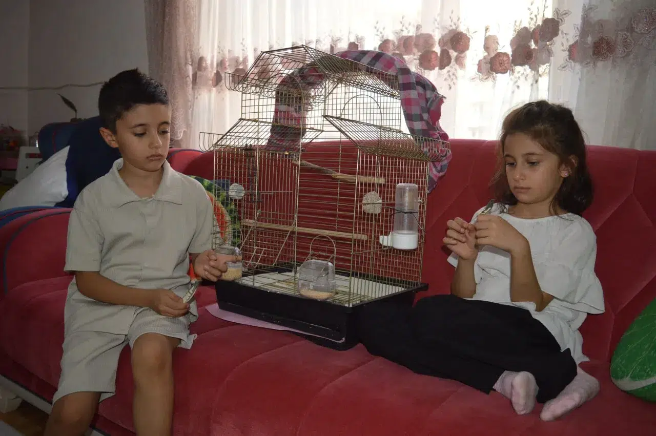 Kayıp Zeytin için kardeşlerden yardım çağrısı: Onu çok özledik, lütfen bulunsun!