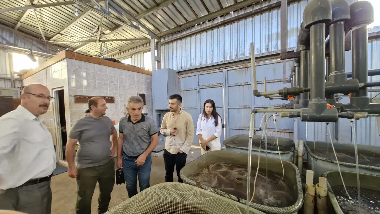 Ardeşen'de su ürünleri yetiştiriciliği için sürdürülebilir eğitim projesi başlatıldı