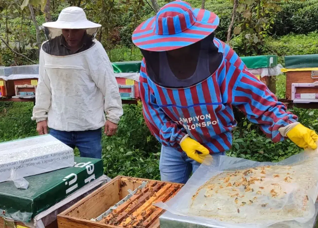 Sürmene'de Arıcılığı Güçlendiren Kovan Tespit Çalışmaları Devam Ediyor