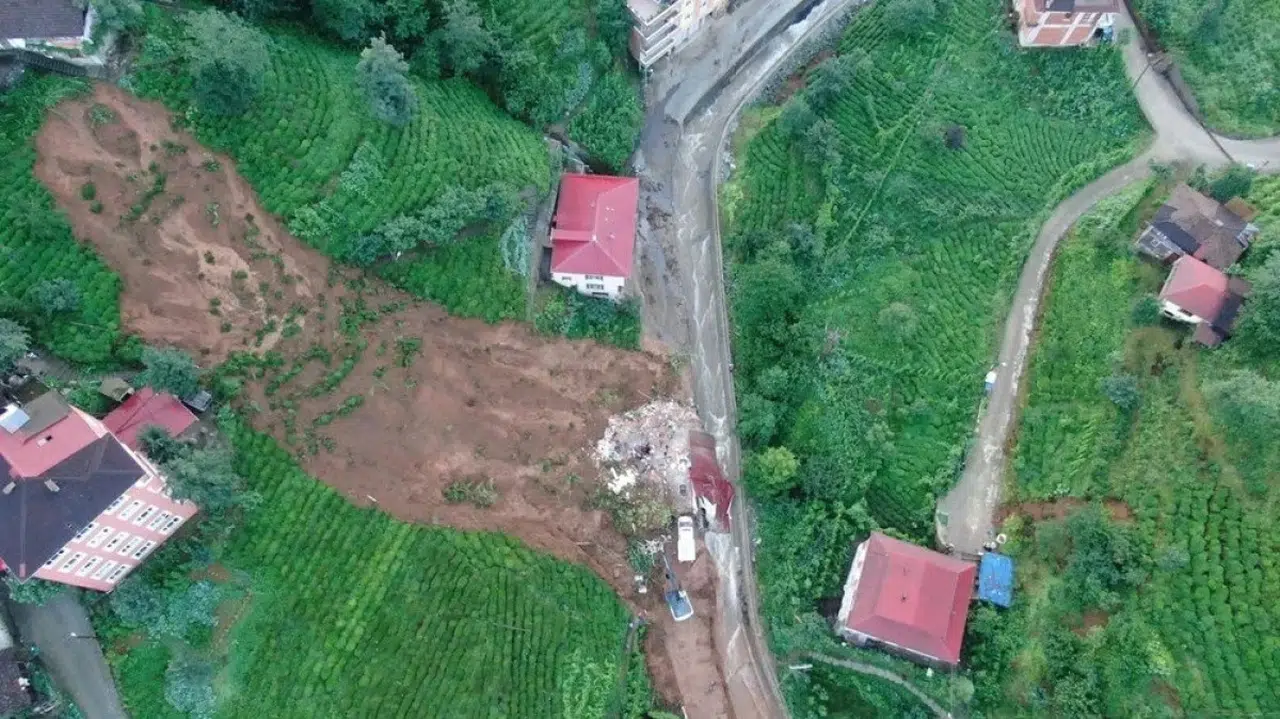 Rize’de Sellere Rağmen ÇAYKUR Yaş Çay Alımlarına Devam Ediyore