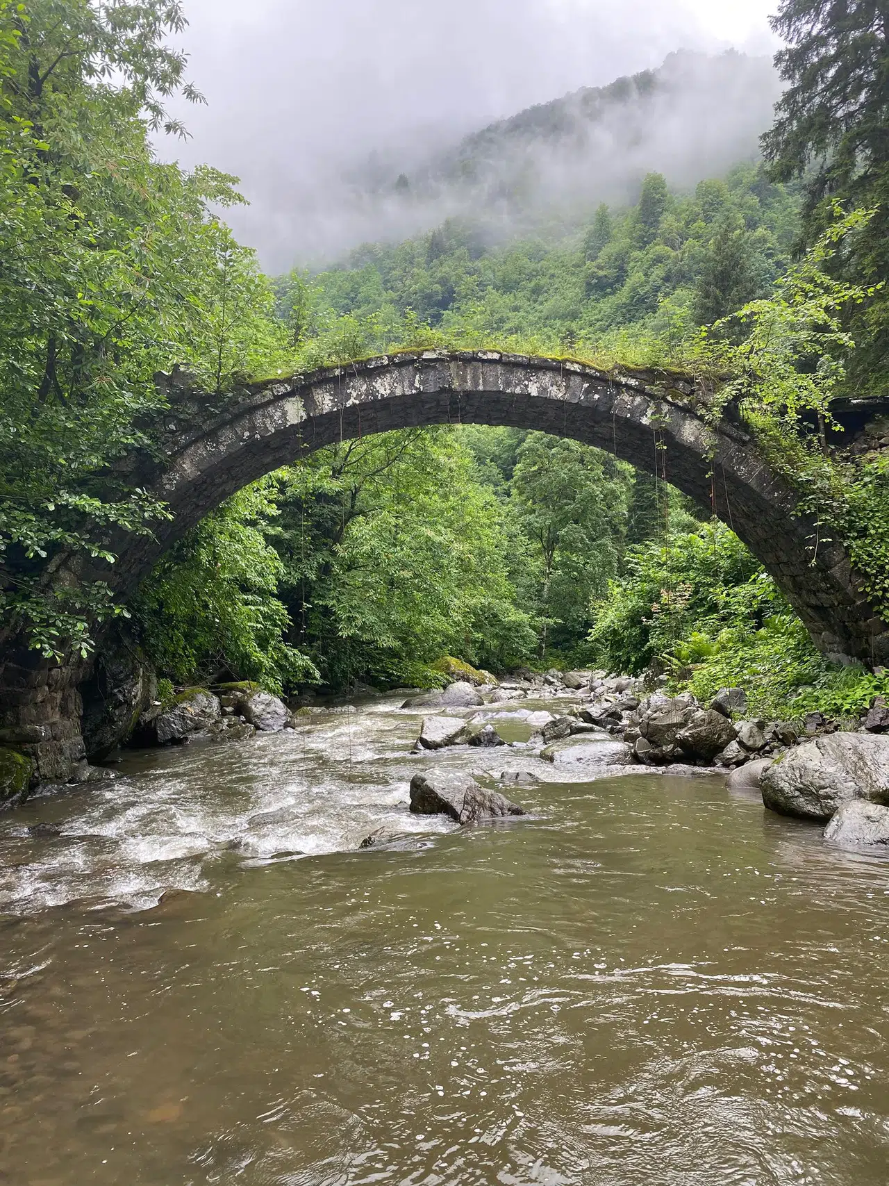Tarihi taş köprü, Artvin'deki sel felaketinde yıkıldı, yöre halkı büyük üzüntü yaşıyor