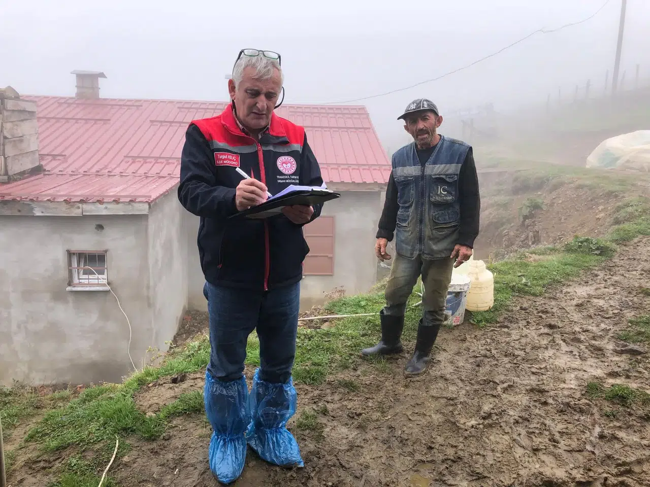 Trabzon'da hayvancılığı korumak için şap hastalığına karşı aşılama çalışmaları sürüyor