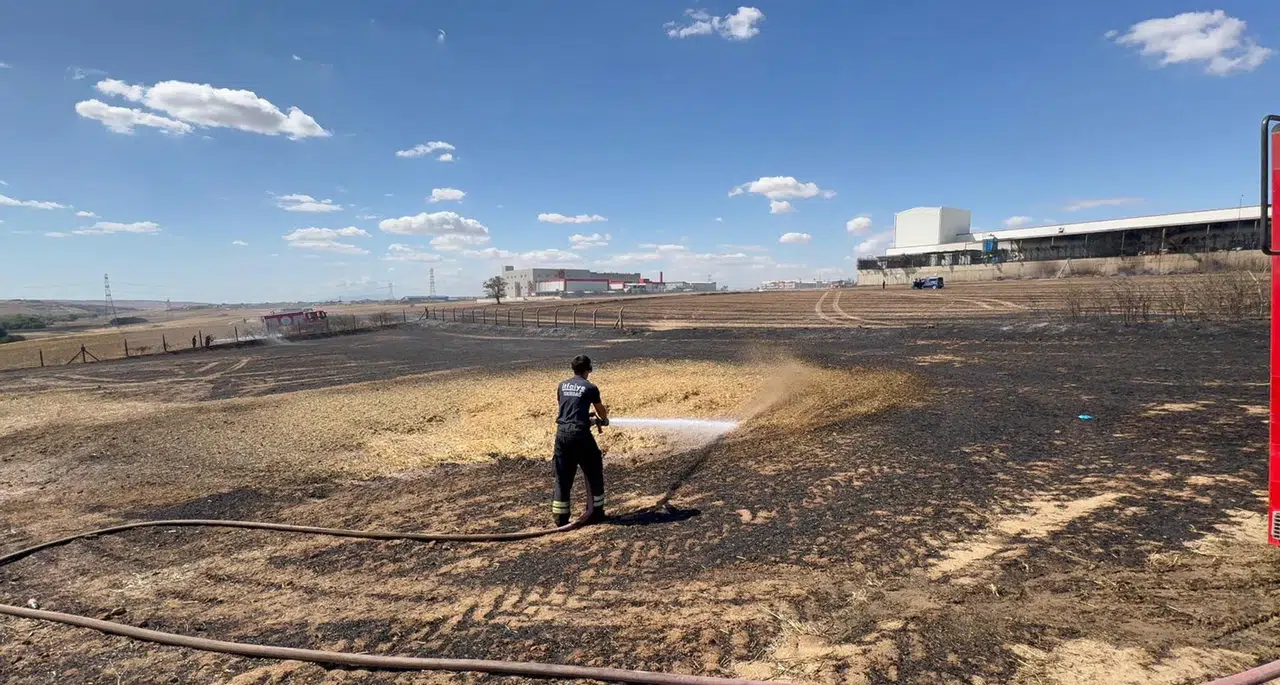 Çorlu'da anız yangını kablo fabrikasına sıçramadan kontrol altına alındı
