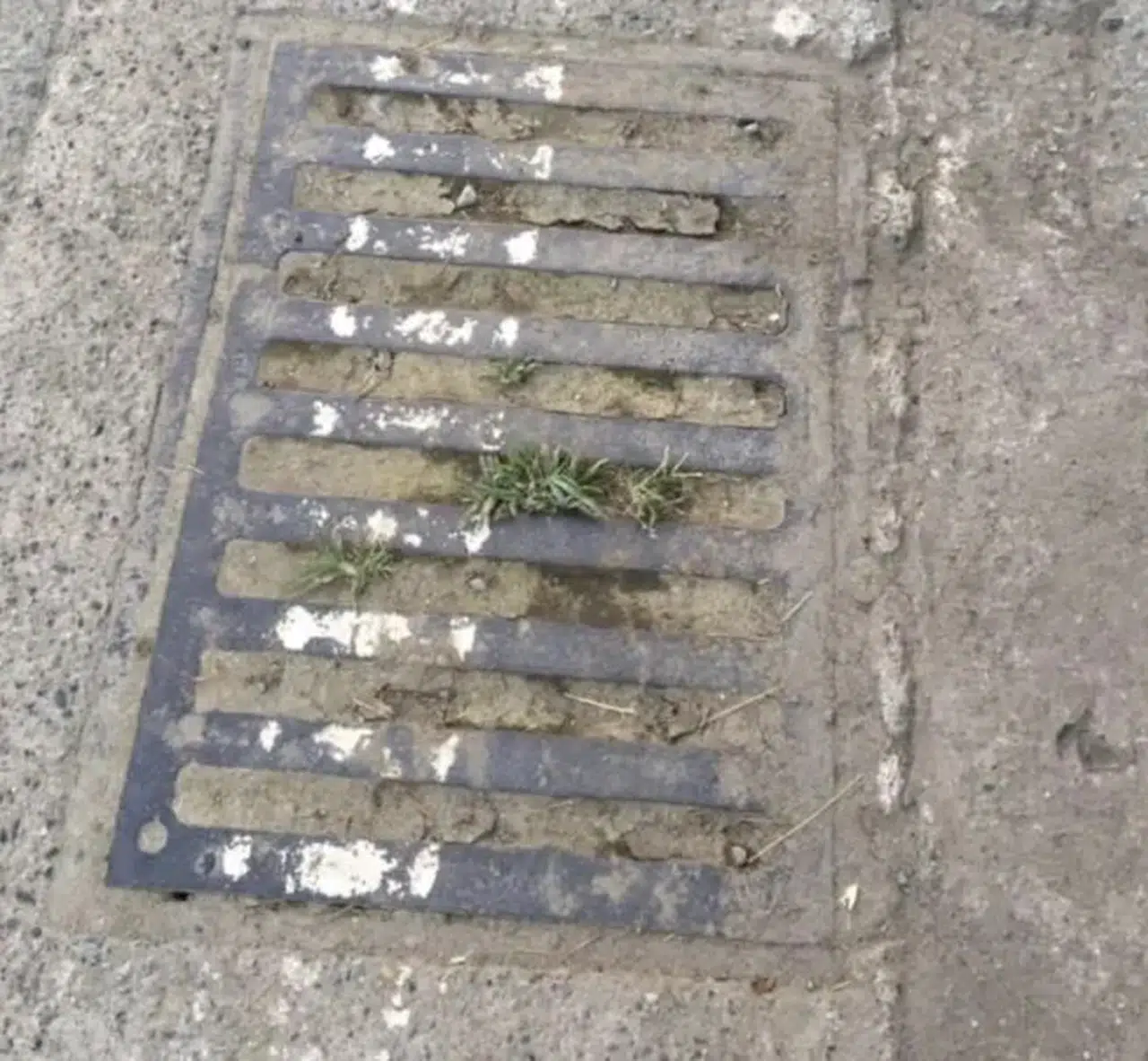 Ardeşen’de Mazgallar Tıkalı, Şiddetli Yağış Uyarısı Yapıldı