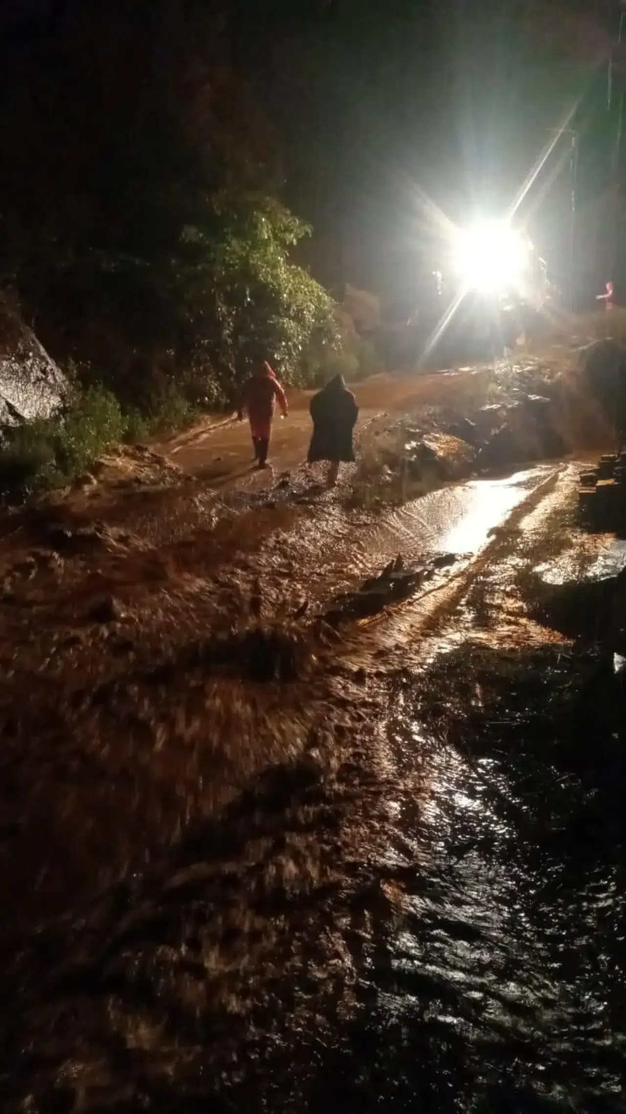 Artvin'de Şiddetli Yağışlar Heyelanlara Neden Oldu, Can Kaybı Yok