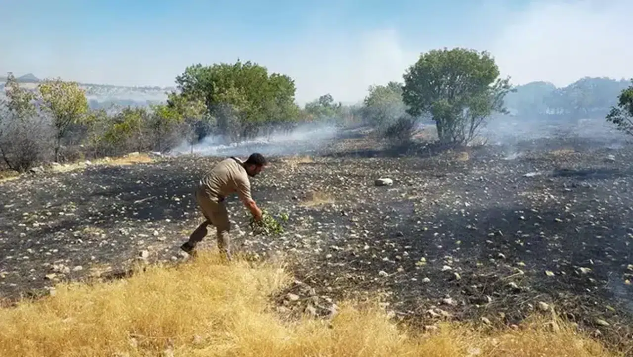 Diyarbakır'da Lice ve Dicle'de yangınlar kontrol altına alındı, müdahale devam ediyor