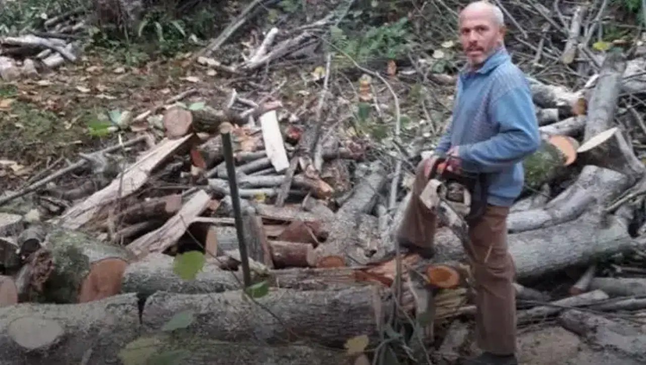 Rize'de kestiği ağacın altında kalan kişi hayatını kaybetti