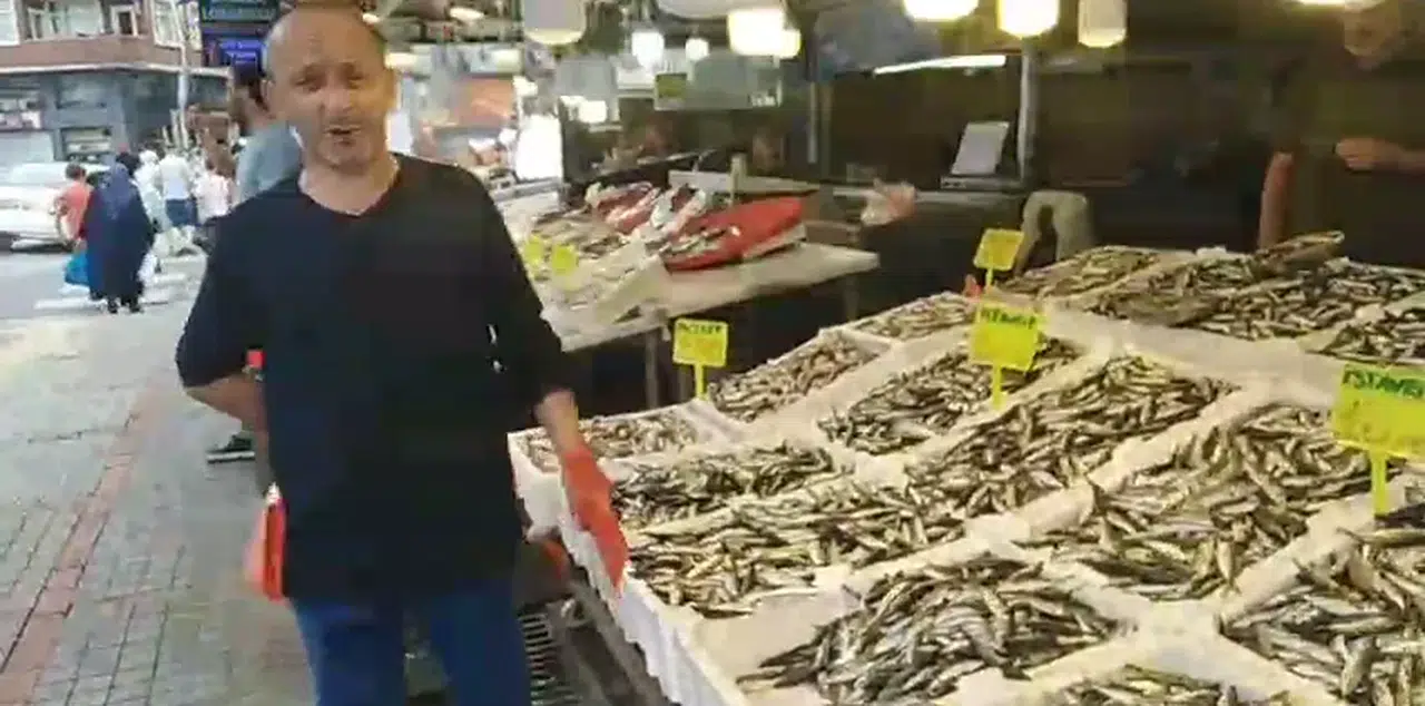 Hamsi ve istavritle dolan Rize'de balık sezonu umutlu başladı!